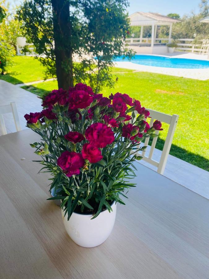 Chanel Garden Relaxation Home Formello Luaran gambar